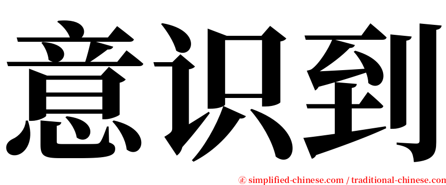 意识到 serif font