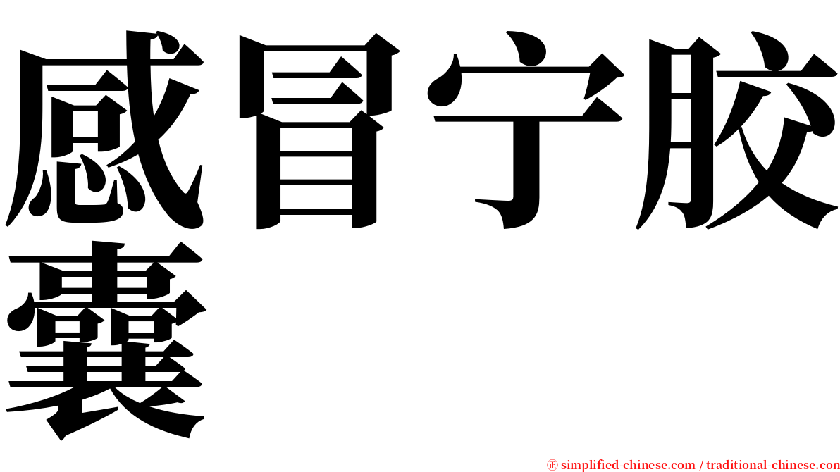 感冒宁胶囊 serif font