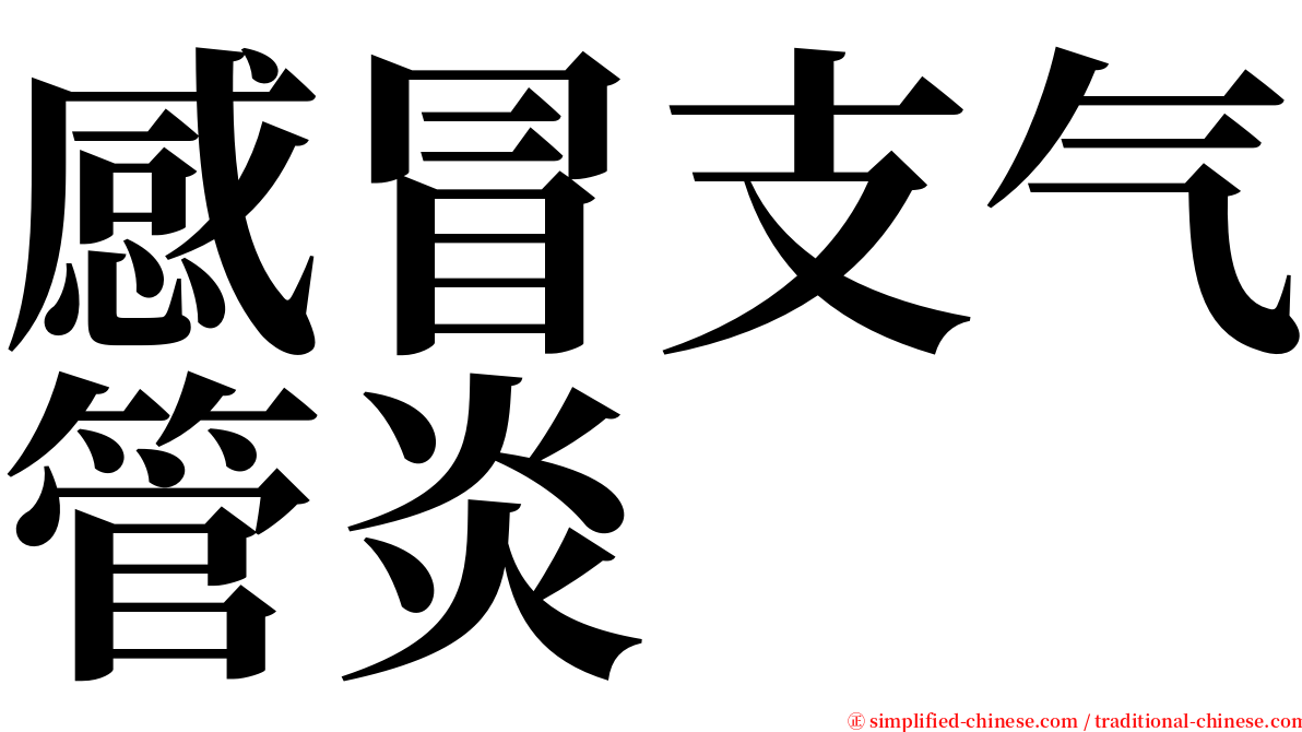 感冒支气管炎 serif font