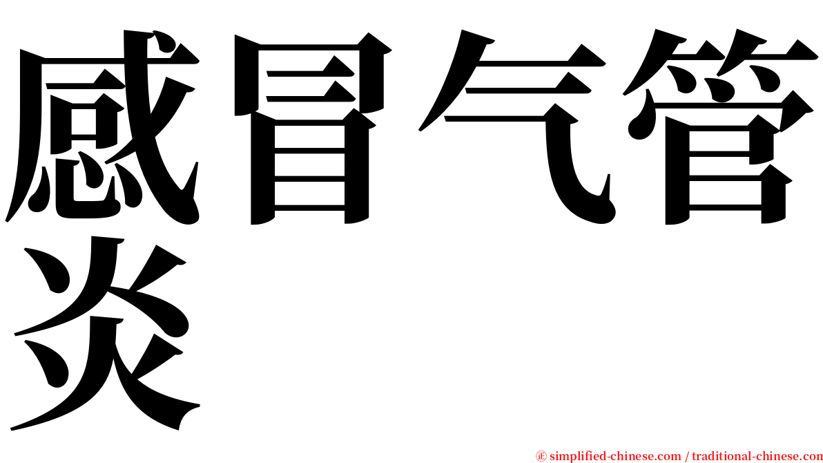 感冒气管炎 serif font