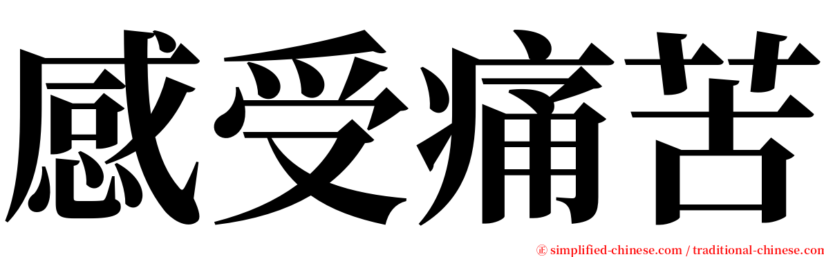 感受痛苦 serif font