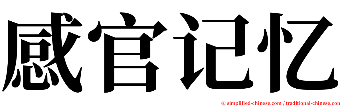 感官记忆 serif font