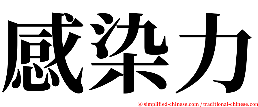 感染力 serif font