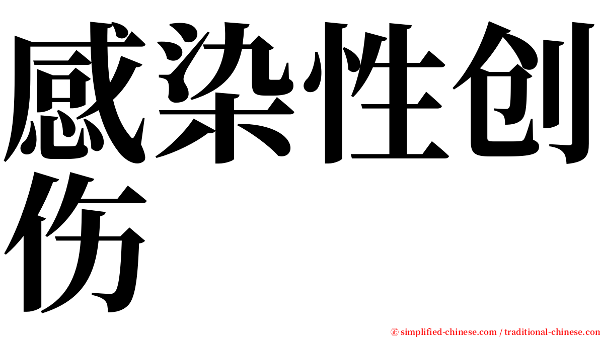 感染性创伤 serif font