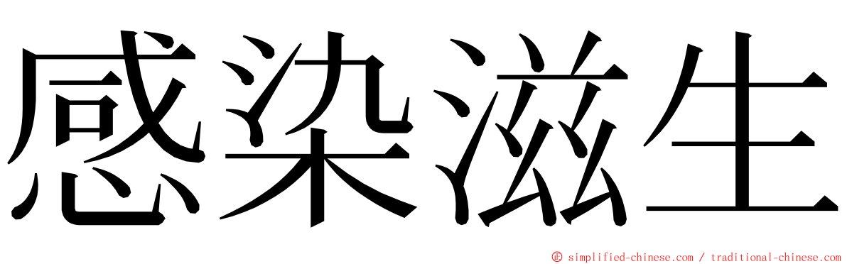 感染滋生 ming font