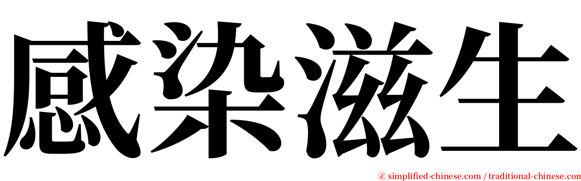 感染滋生 serif font