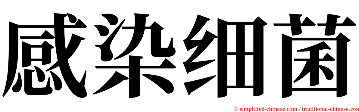 感染细菌 serif font