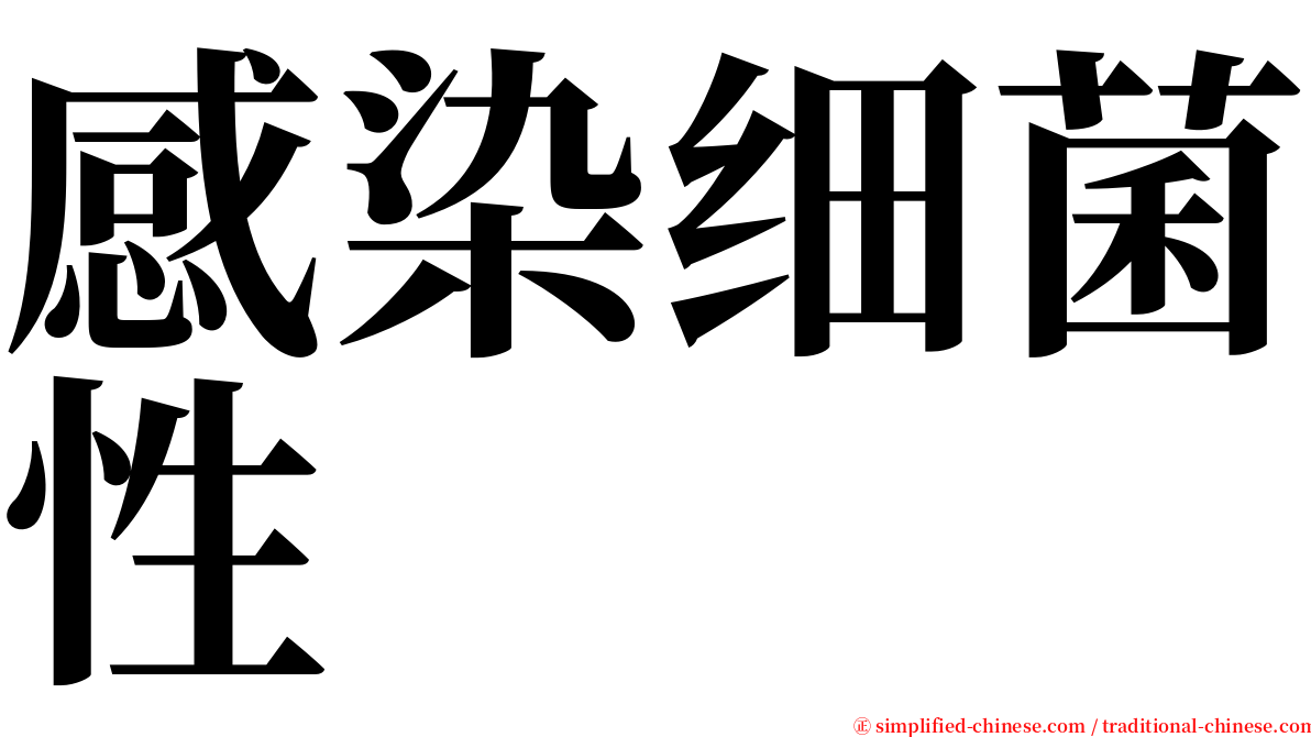 感染细菌性 serif font