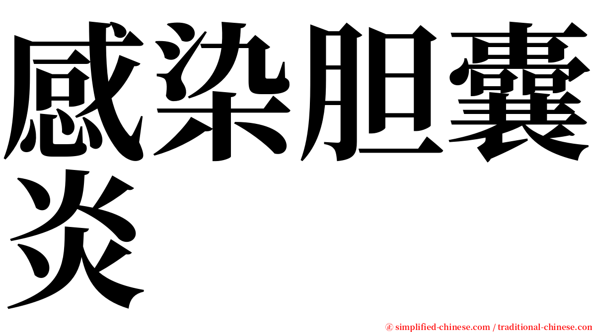 感染胆囊炎 serif font