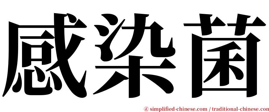 感染菌 serif font