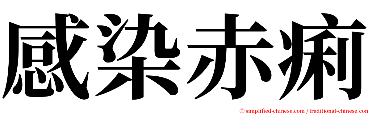 感染赤痢 serif font