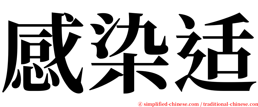 感染适 serif font