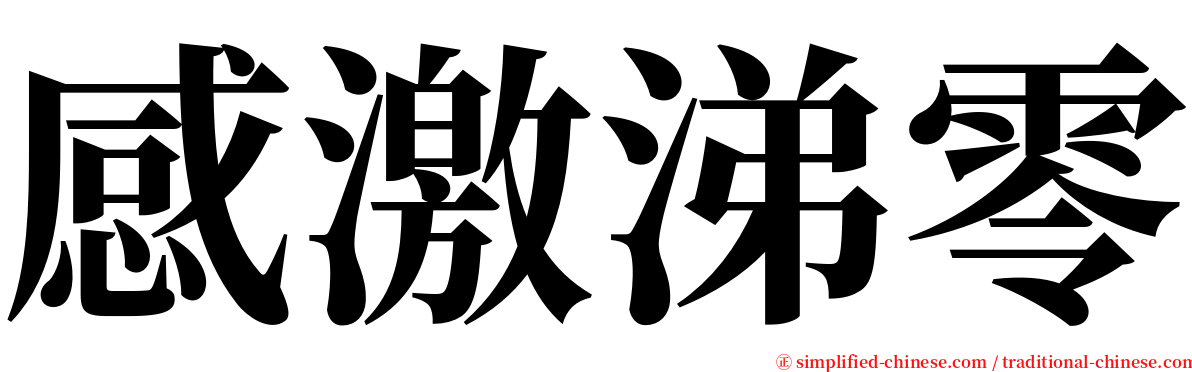 感激涕零 serif font