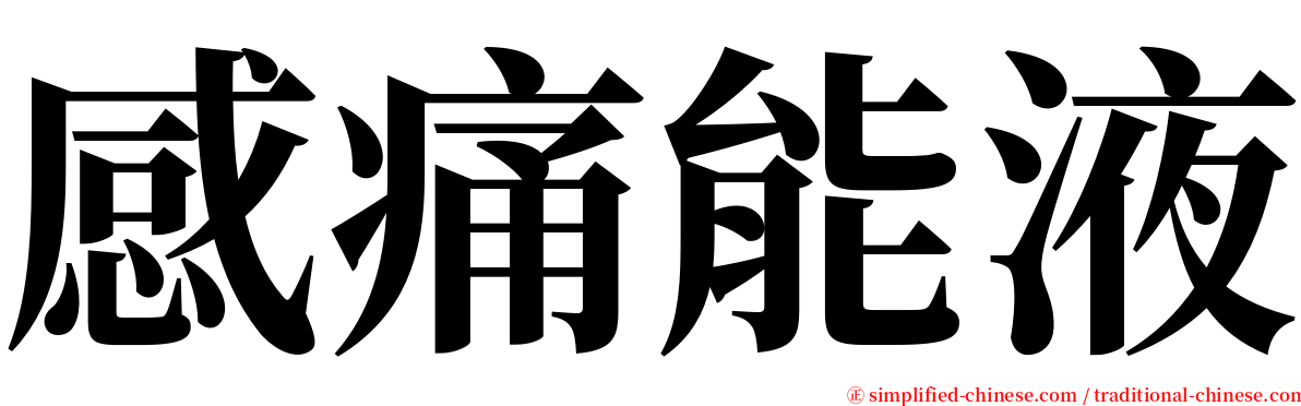 感痛能液 serif font