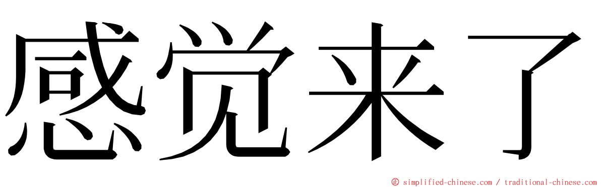 感觉来了 ming font