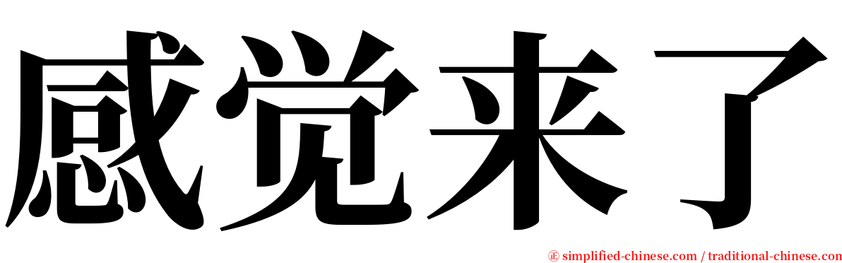 感觉来了 serif font