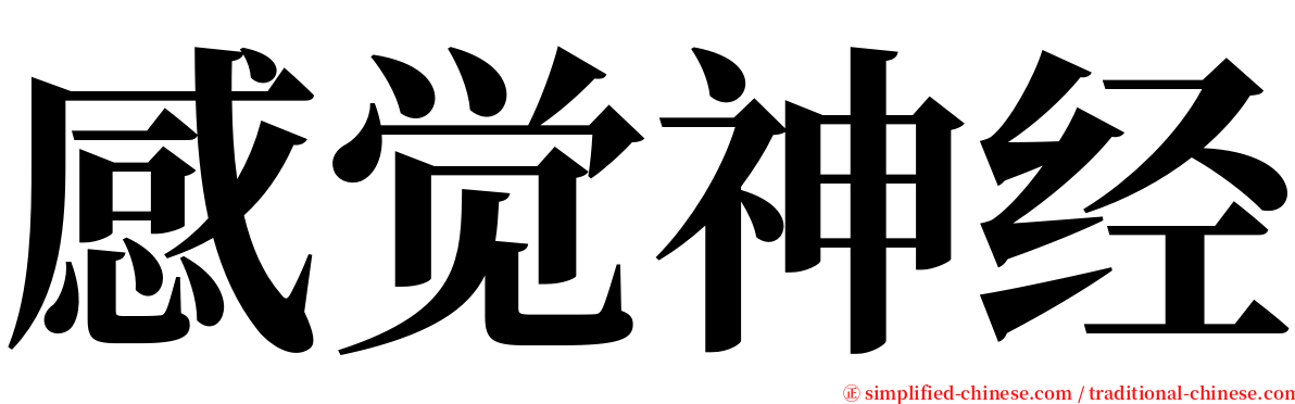 感觉神经 serif font