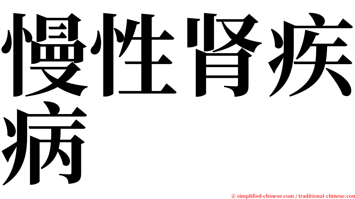 慢性肾疾病 serif font