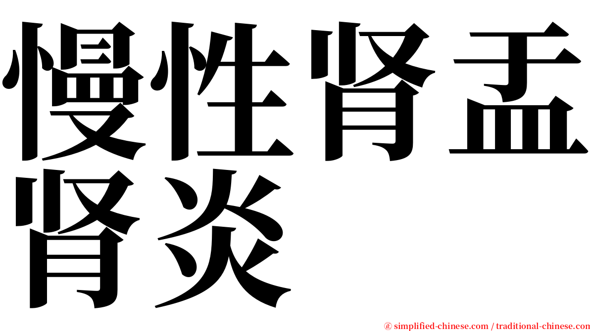 慢性肾盂肾炎 serif font