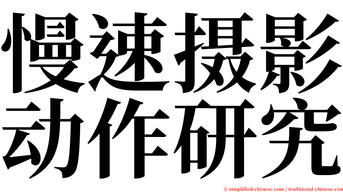 慢速摄影动作研究 serif font