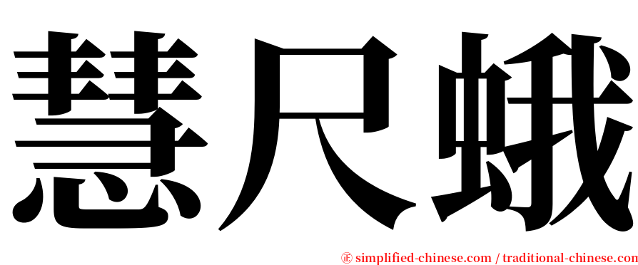 慧尺蛾 serif font