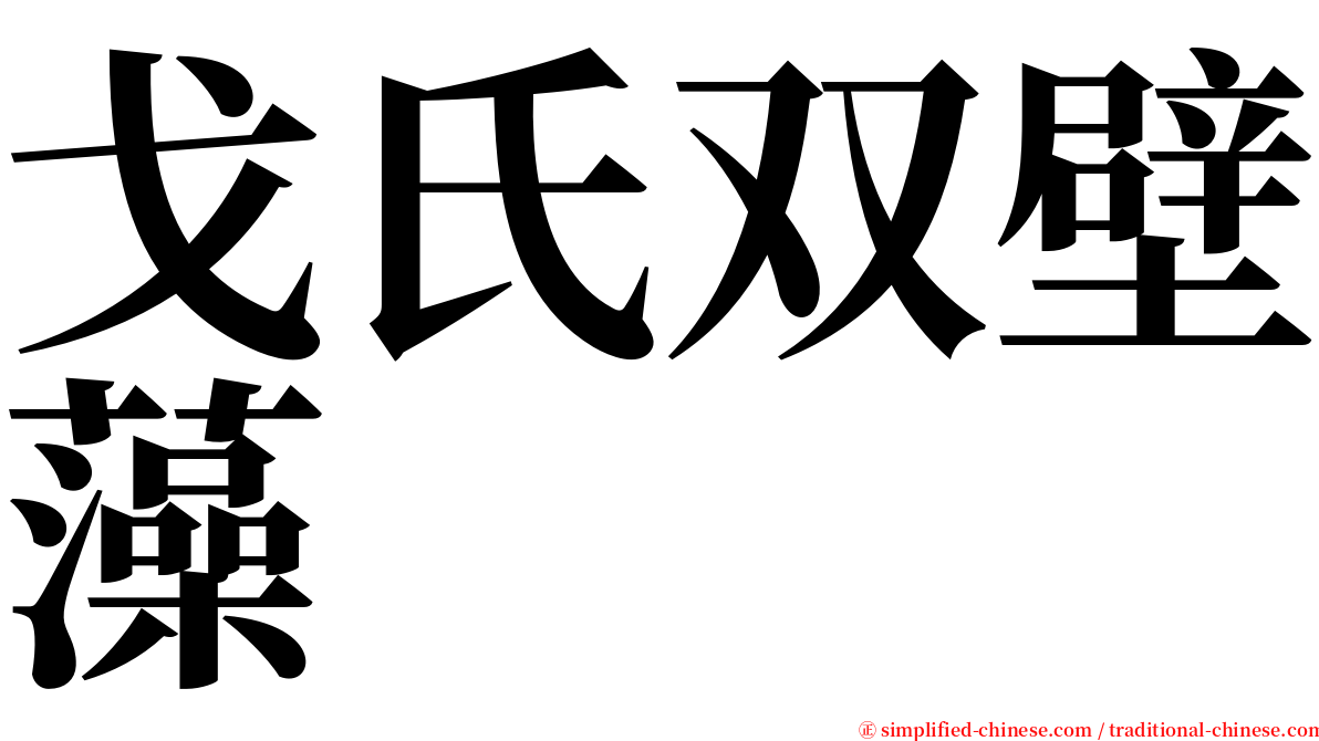 戈氏双壁藻 serif font