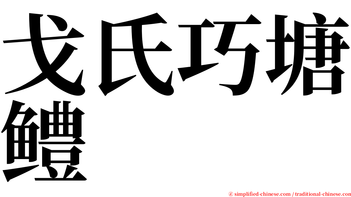 戈氏巧塘鳢 serif font