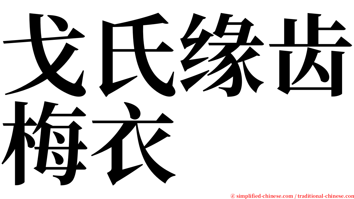 戈氏缘齿梅衣 serif font