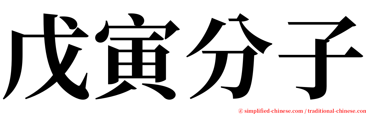 戊寅分子 serif font