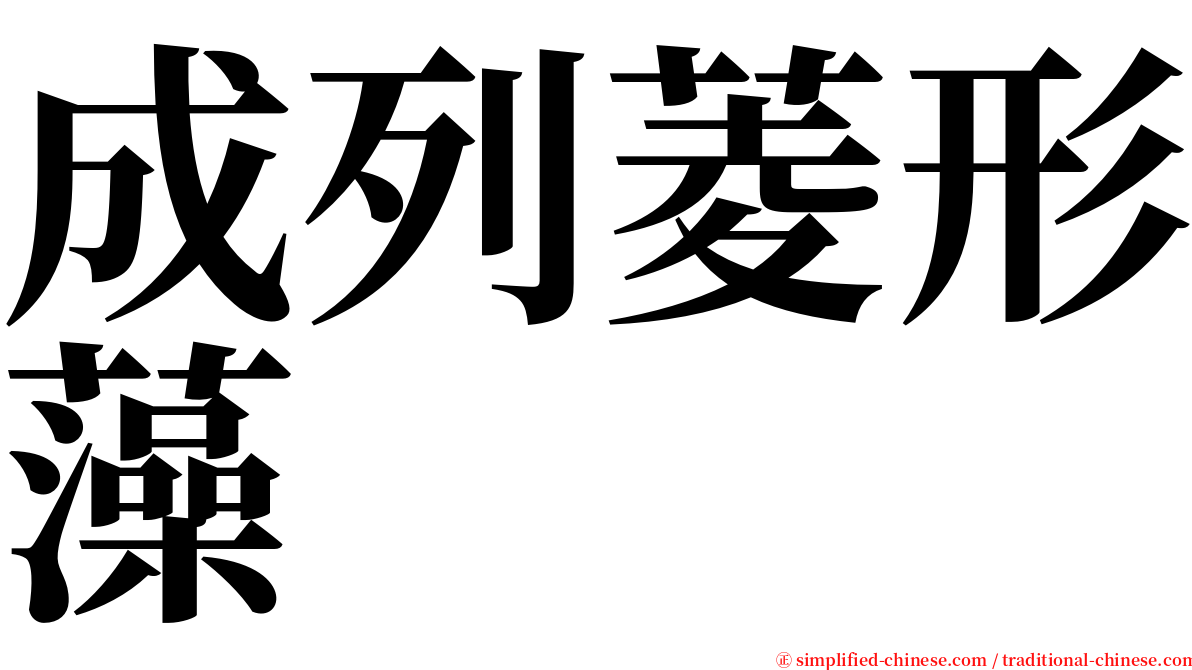 成列菱形藻 serif font