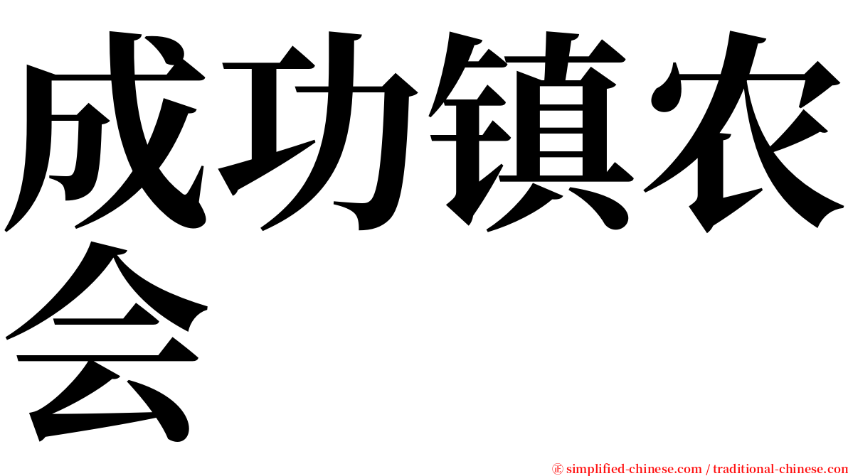 成功镇农会 serif font