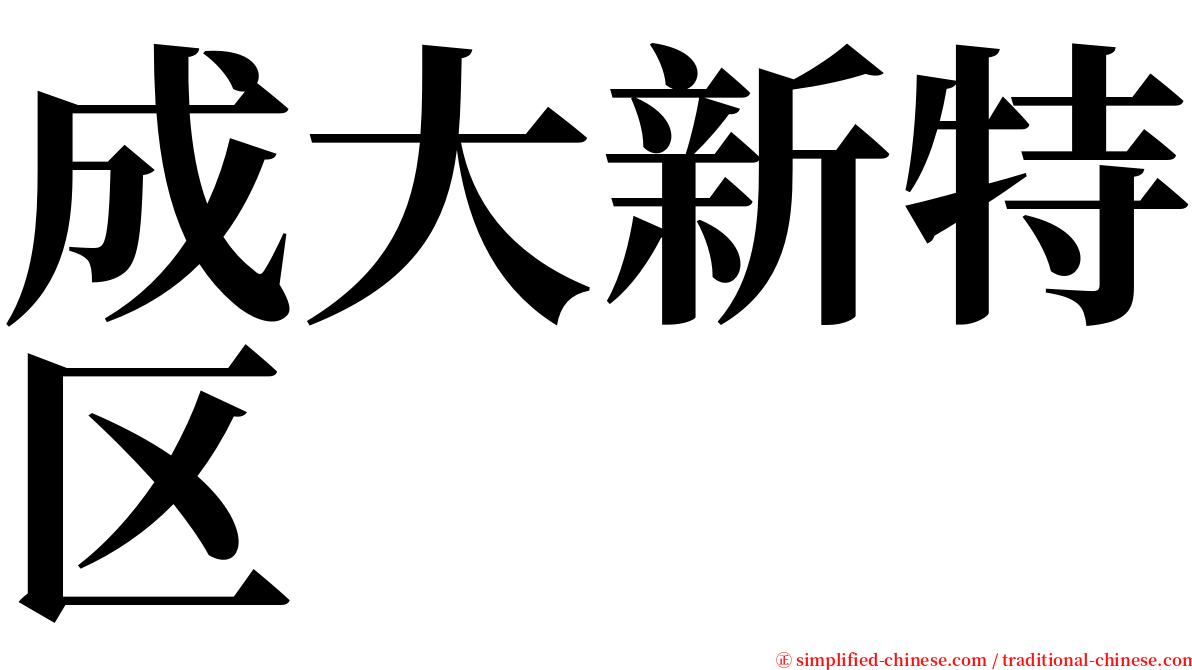 成大新特区 serif font