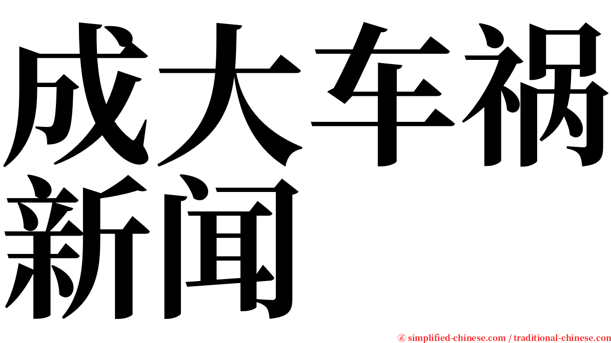 成大车祸新闻 serif font