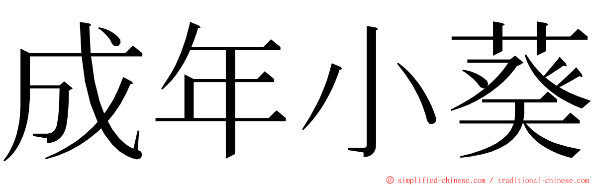 成年小葵 ming font