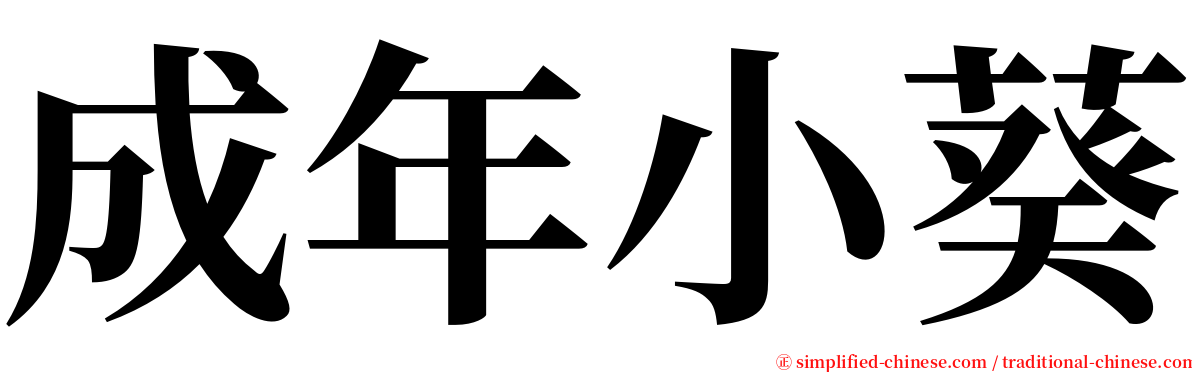 成年小葵 serif font