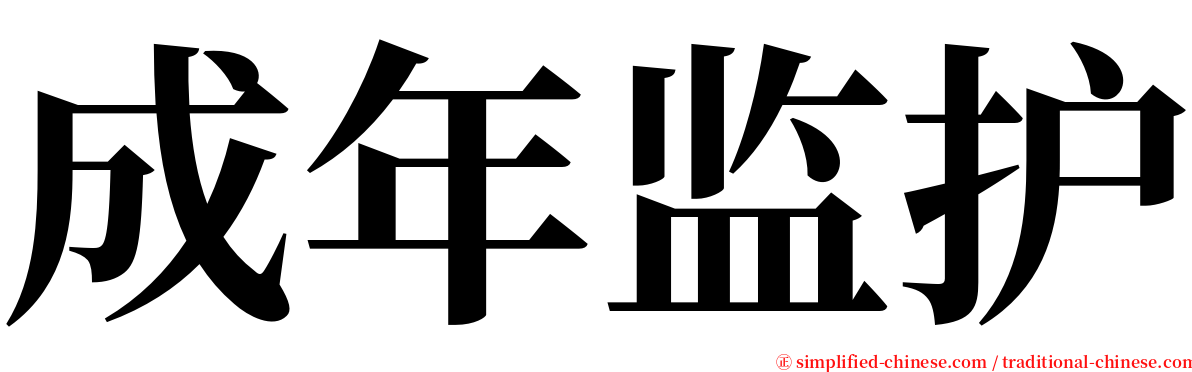 成年监护 serif font