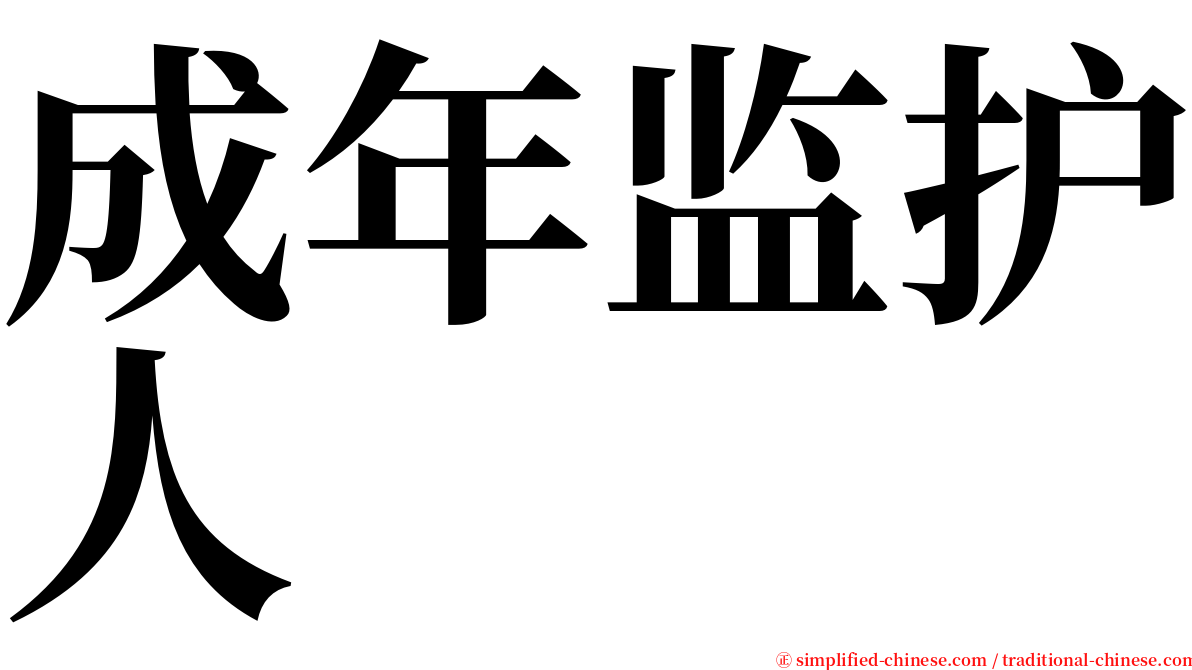 成年监护人 serif font