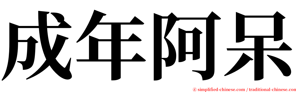 成年阿呆 serif font