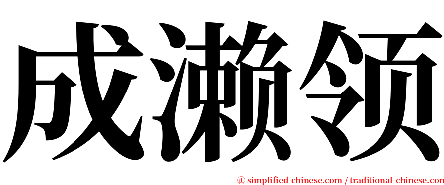 成濑领 serif font