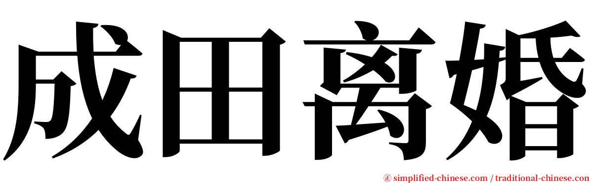 成田离婚 serif font