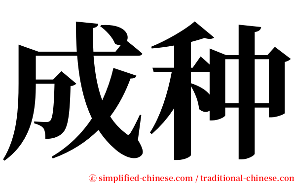 成种 serif font