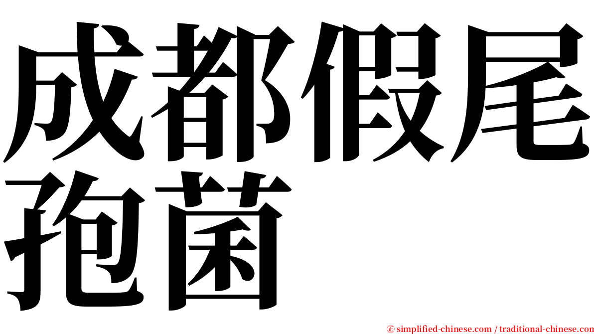 成都假尾孢菌 serif font