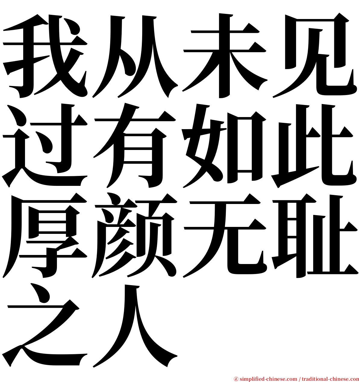 我从未见过有如此厚颜无耻之人 serif font