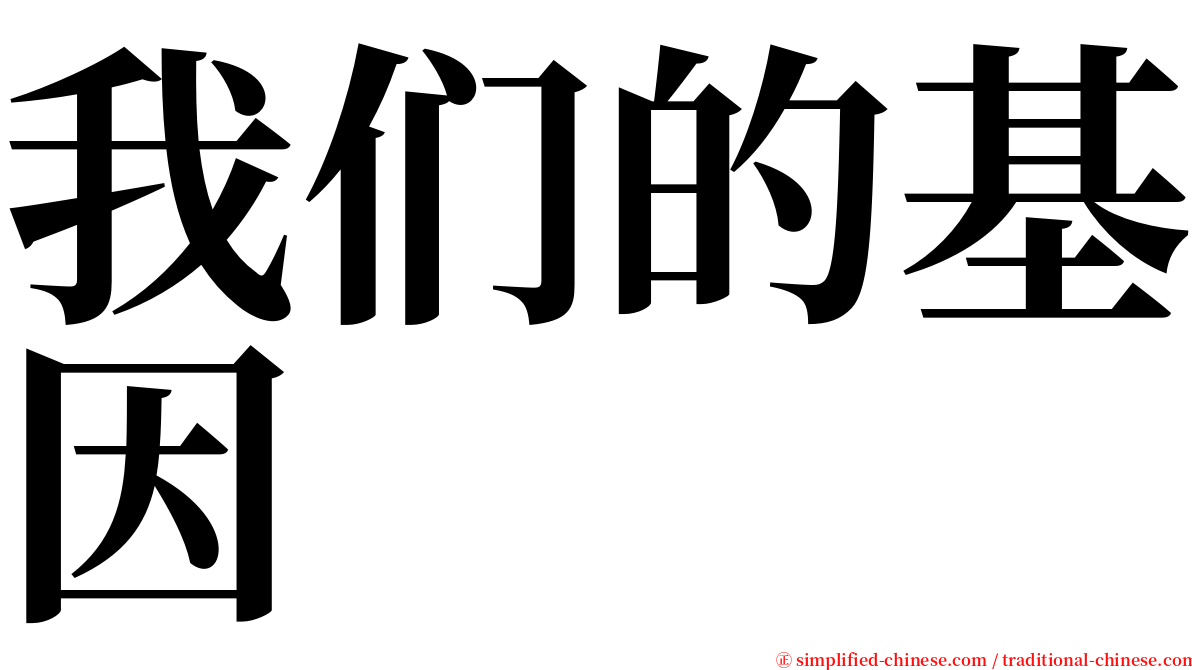 我们的基因 serif font