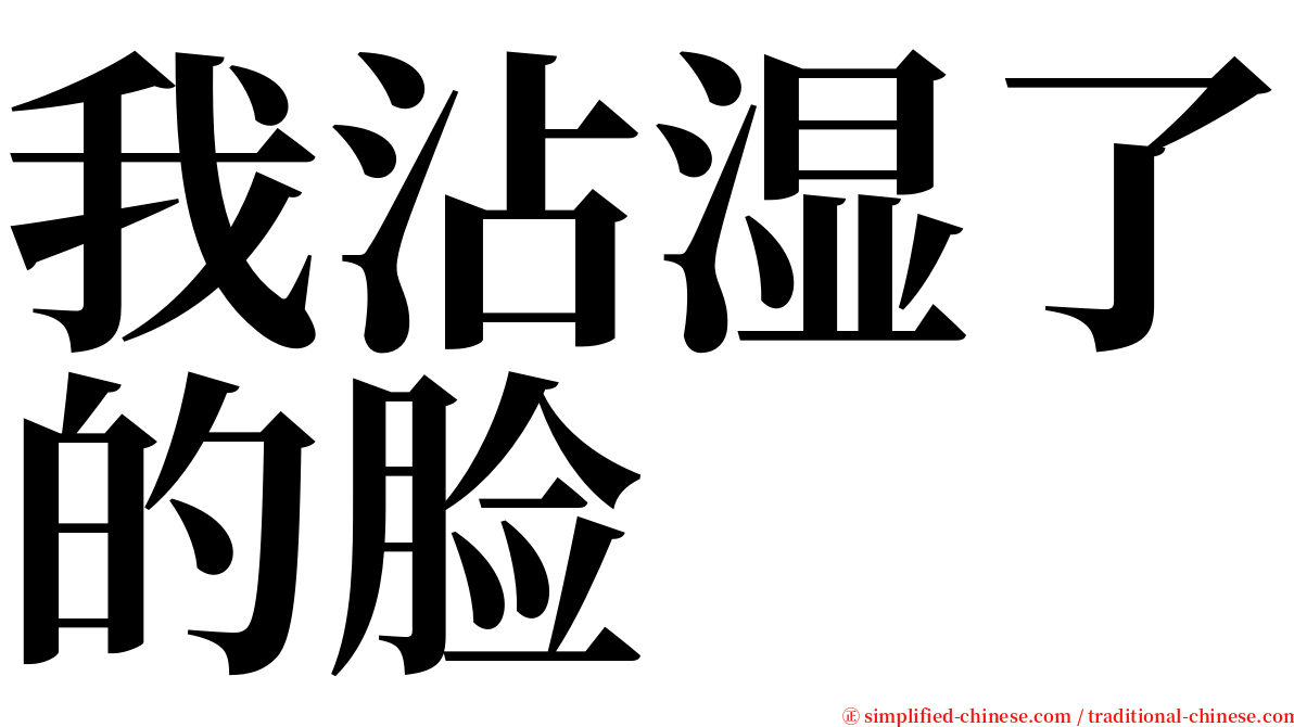 我沾湿了的脸 serif font