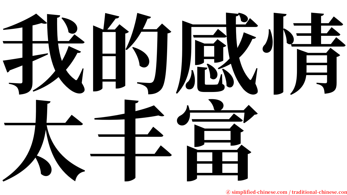 我的感情太丰富 serif font