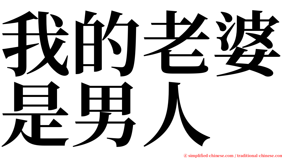 我的老婆是男人 serif font