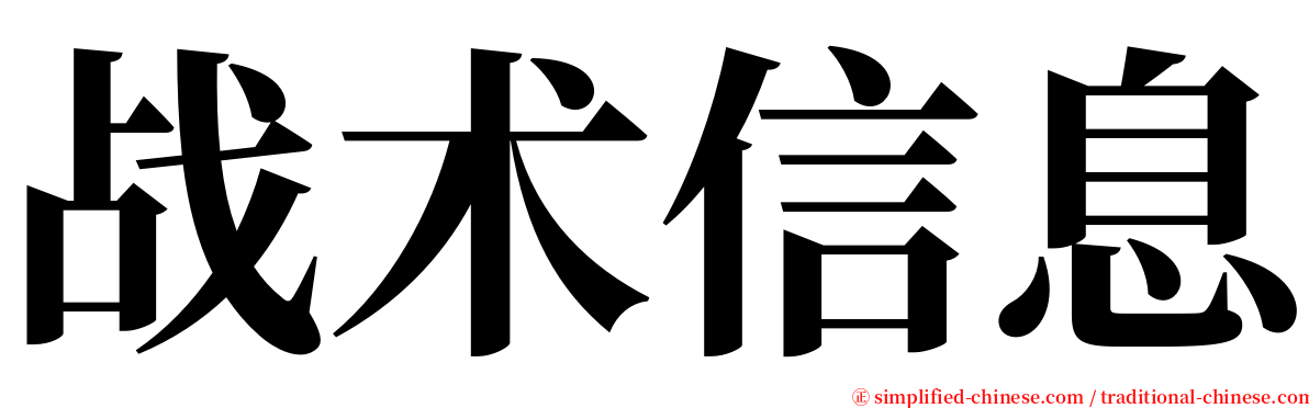 战术信息 serif font