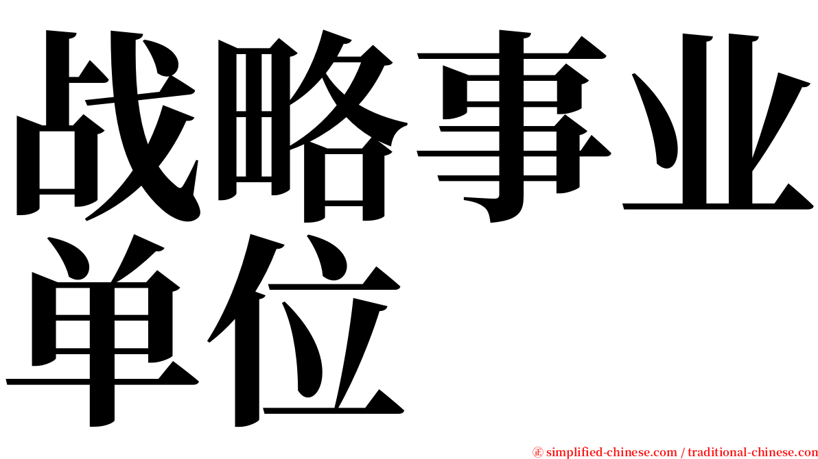 战略事业单位 serif font