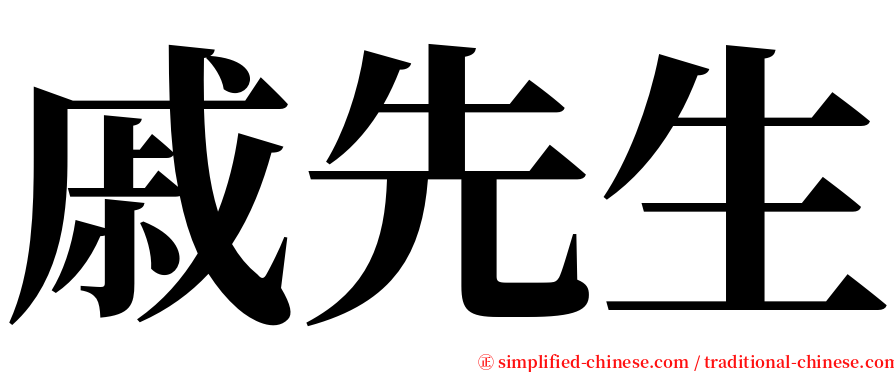 戚先生 serif font